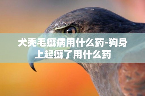 犬禿毛癬病用什么藥-狗身上起癬了用什么藥