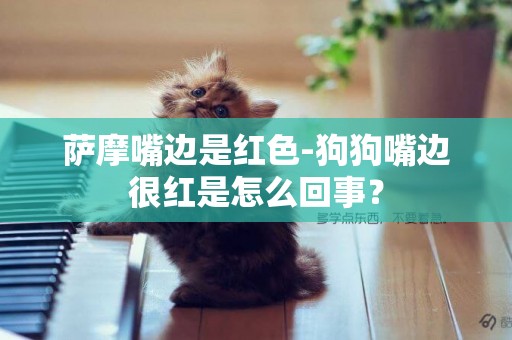 薩摩嘴邊是紅色-狗狗嘴邊很紅是怎么回事？