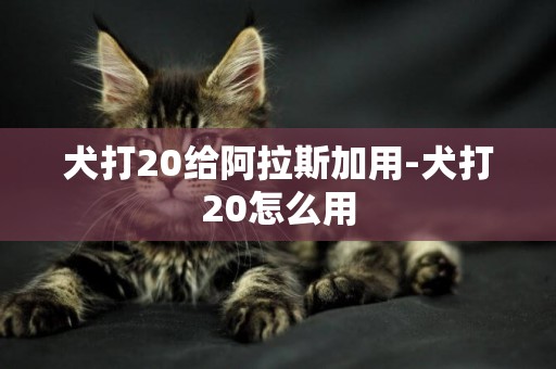 犬打20給阿拉斯加用-犬打20怎么用