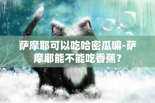 薩摩耶可以吃哈密瓜嘛-薩摩耶能不能吃香蕉？