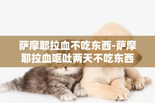 薩摩耶拉血不吃東西-薩摩耶拉血嘔吐兩天不吃東西