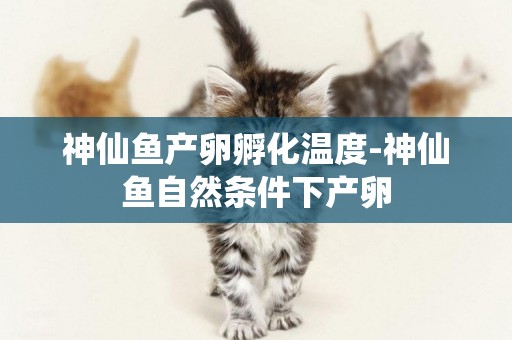 神仙魚產卵孵化溫度-神仙魚自然條件下產卵