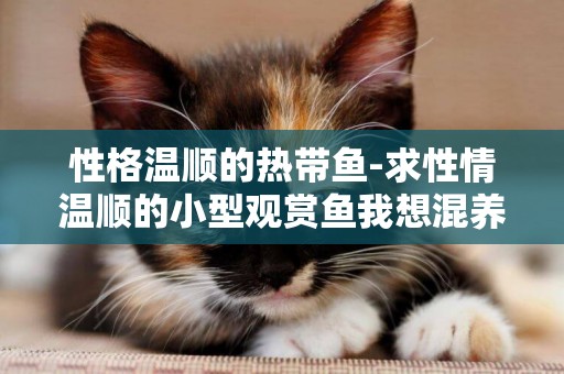 性格溫順的熱帶魚-求性情溫順的小型觀賞魚我想混養。