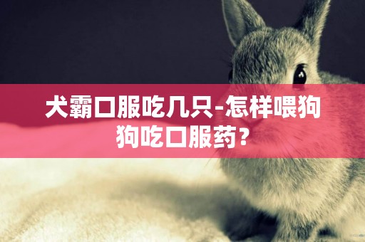 犬霸口服吃幾只-怎樣喂狗狗吃口服藥？