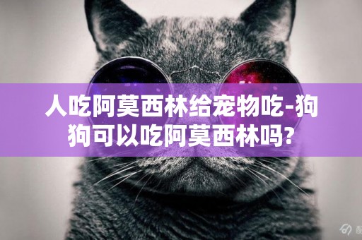 人吃阿莫西林給寵物吃-狗狗可以吃阿莫西林嗎?