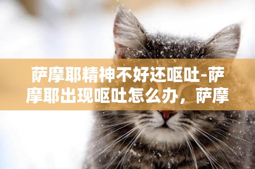 薩摩耶精神不好還嘔吐-薩摩耶出現嘔吐怎么辦，薩摩耶嘔吐沒精神不振