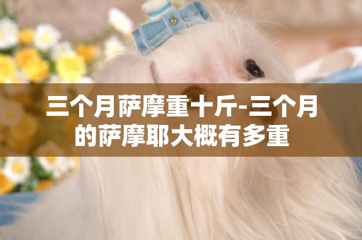 三個月薩摩重十斤-三個月的薩摩耶大概有多重