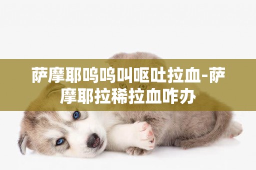 薩摩耶嗚嗚叫嘔吐拉血-薩摩耶拉稀拉血咋辦