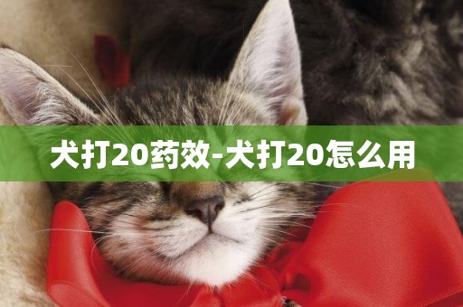 犬打20藥效-犬打20怎么用