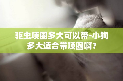 驅蟲項圈多大可以帶-小狗多大適合帶項圈啊？