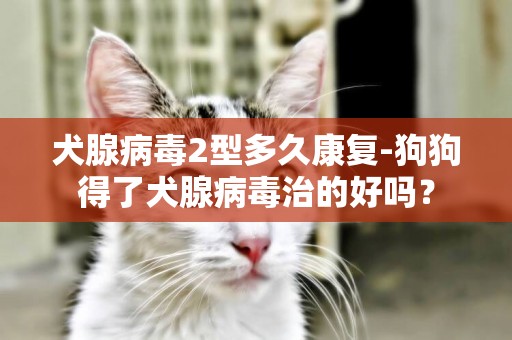 犬腺病毒2型多久康復-狗狗得了犬腺病毒治的好嗎？