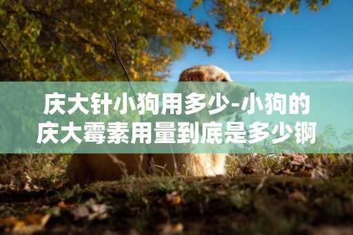 慶大針小狗用多少-小狗的慶大霉素用量到底是多少錒.!