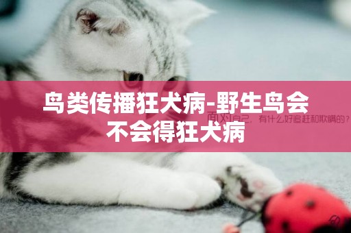 鳥類傳播狂犬病-野生鳥會不會得狂犬病