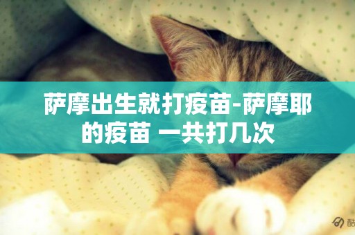 薩摩出生就打疫苗-薩摩耶的疫苗 一共打幾次