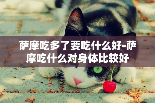 薩摩吃多了要吃什么好-薩摩吃什么對身體比較好