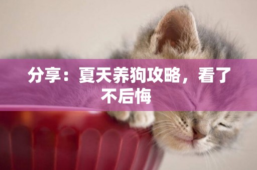 分享：夏天養狗攻略，看了不后悔 