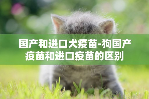 國產和進口犬疫苗-狗國產疫苗和進口疫苗的區別