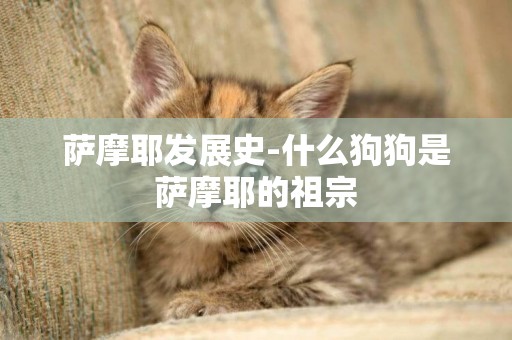 薩摩耶發展史-什么狗狗是薩摩耶的祖宗