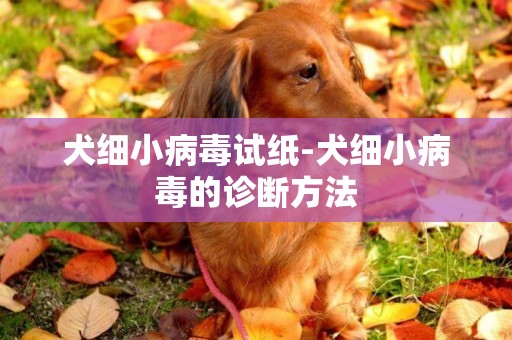 犬細小病毒試紙-犬細小病毒的診斷方法
