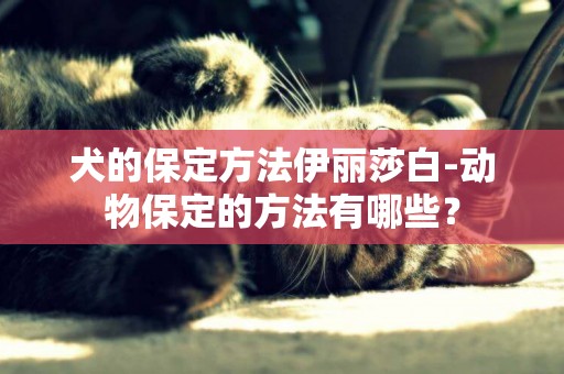 犬的保定方法伊麗莎白-動物保定的方法有哪些？