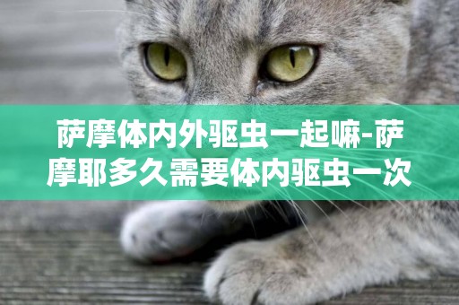 薩摩體內外驅蟲一起嘛-薩摩耶多久需要體內驅蟲一次