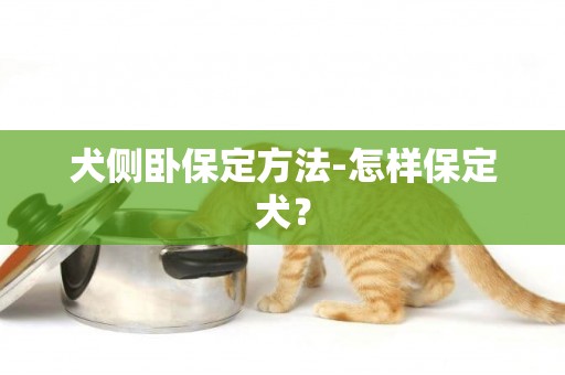 犬側臥保定方法-怎樣保定犬？