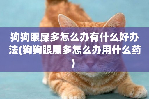 狗狗眼屎多怎么辦有什么好辦法(狗狗眼屎多怎么辦用什么藥) 