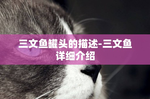 三文魚罐頭的描述-三文魚詳細介紹