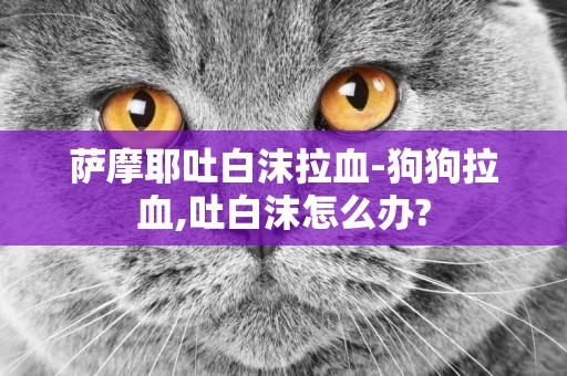 薩摩耶吐白沫拉血-狗狗拉血,吐白沫怎么辦?