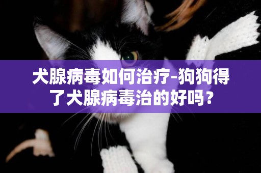 犬腺病毒如何治療-狗狗得了犬腺病毒治的好嗎？