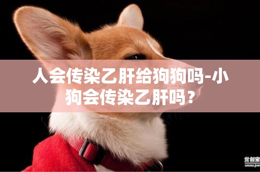 人會傳染乙肝給狗狗嗎-小狗會傳染乙肝嗎？