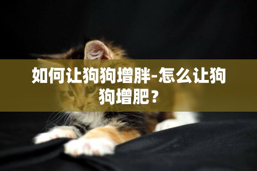 如何讓狗狗增胖-怎么讓狗狗增肥？