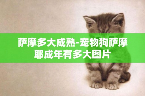 薩摩多大成熟-寵物狗薩摩耶成年有多大圖片