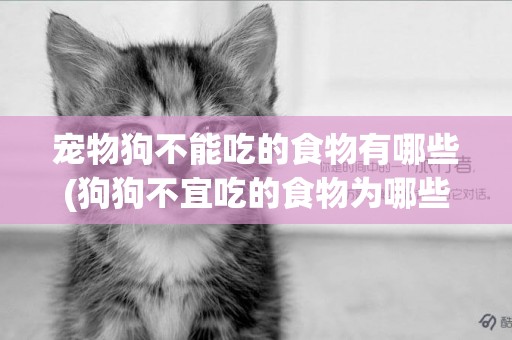 寵物狗不能吃的食物有哪些(狗狗不宜吃的食物為哪些) 