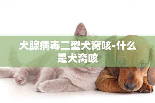 犬腺病毒二型犬窩咳-什么是犬窩咳