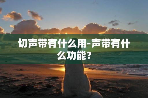 切聲帶有什么用-聲帶有什么功能？
