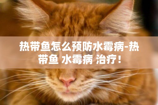 熱帶魚怎么預防水霉病-熱帶魚 水霉病 治療！