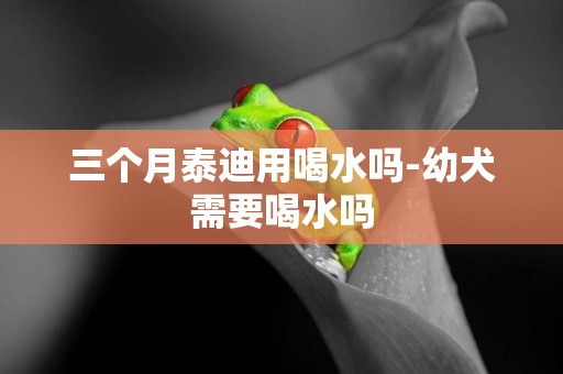 三個月泰迪用喝水嗎-幼犬需要喝水嗎