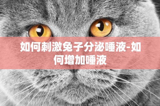 如何刺激兔子分泌唾液-如何增加唾液