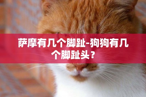 薩摩有幾個腳趾-狗狗有幾個腳趾頭？
