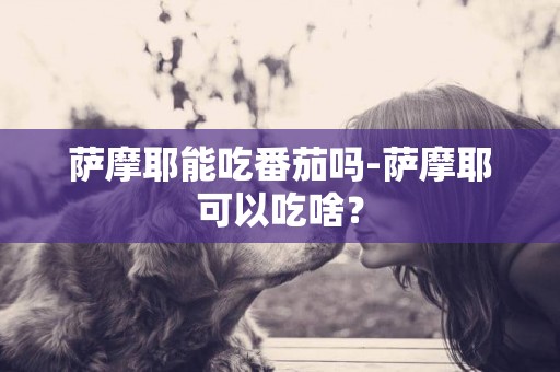 薩摩耶能吃番茄嗎-薩摩耶可以吃啥？