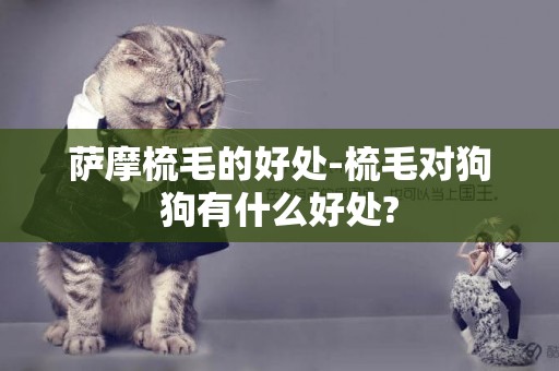 薩摩梳毛的好處-梳毛對狗狗有什么好處?