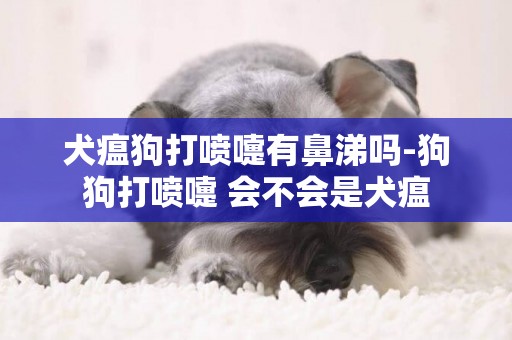 犬瘟狗打噴嚏有鼻涕嗎-狗狗打噴嚏 會不會是犬瘟