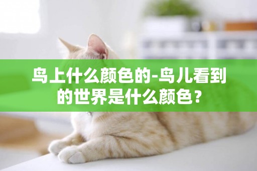 鳥上什么顏色的-鳥兒看到的世界是什么顏色？