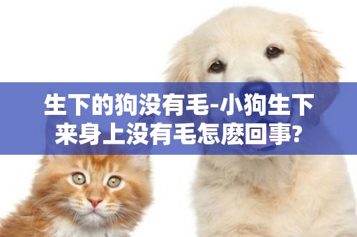 生下的狗沒有毛-小狗生下來身上沒有毛怎麼回事?