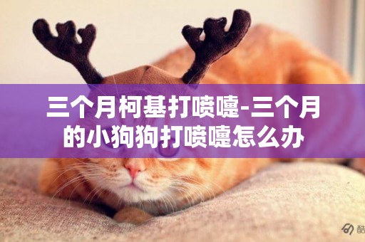 三個月柯基打噴嚏-三個月的小狗狗打噴嚏怎么辦
