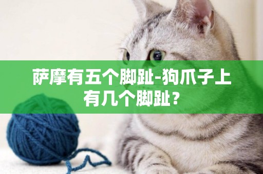 薩摩有五個腳趾-狗爪子上有幾個腳趾？