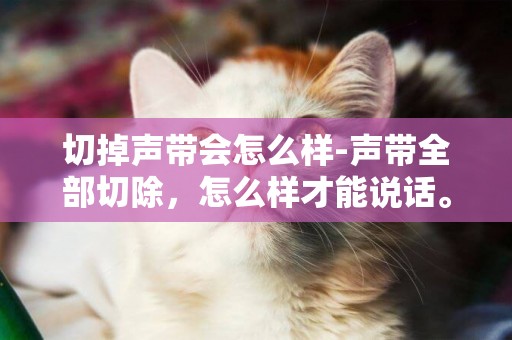 切掉聲帶會怎么樣-聲帶全部切除，怎么樣才能說話。
