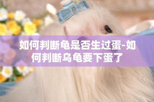 如何判斷龜是否生過蛋-如何判斷烏龜要下蛋了