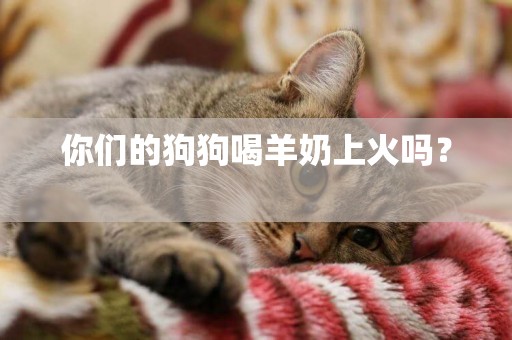 你們的狗狗喝羊奶上火嗎？ 